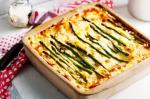 American Chicken And Asparagus Lasagne Recipe Appetizer