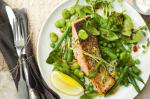 American Rosemarys Mediterranean Bean And Pea Salad With Herbed Salmon Recipe Appetizer