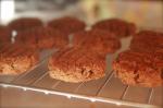 Australian Fat Free Gingerbread Cookies Appetizer