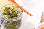 American Dill Gherkin And Red Onion Salsa Recipe Appetizer