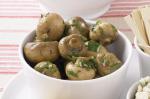 British Marinated Mushrooms Recipe 10 Appetizer