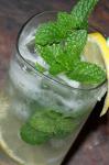 British Carolina Veranda Lemonade alcoholic Appetizer