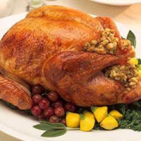 American Thanksgiving Turkey and Dressing Dinner