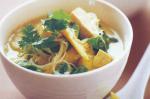 American Asianstyle Curried Vegetable Broth Recipe Dinner