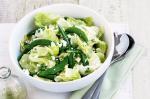 American Lettuce Pea Mint And Feta Salad Recipe Drink