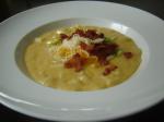 American Ruby Tuesdays Potato Cheese Soup by Todd Wilbur Dinner