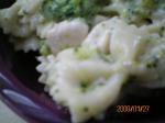 American Bow Tie Pasta With Chicken and Vegetables Appetizer