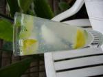 Malian Malibu Mango Mojito Appetizer