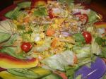 American Santa Fe Chicken Salad from Salad Creations Appetizer