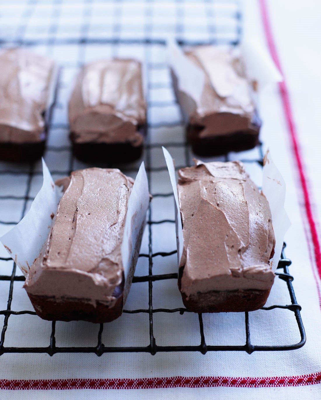 American Cocoa Sponge Cakes Appetizer