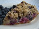 American Blueberry Sour Cream Pie 6 Dessert