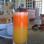 American Healthy Carrot Orangejuice Appetizer