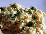 American Luxury Scrambled Eggs 1 Appetizer