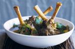 Australian Red Currant And Rosemary Lamb Shanks Recipe Appetizer