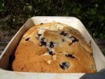 American Blueberry Pudding Loaf Dessert