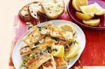 American Panfried Haloumi With Lemon Garlic and Thyme Recipe Appetizer