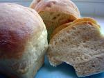 American Awesome Homemade Crusty Bread bread Machine Appetizer
