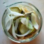 American Herring Salad with Cucumber Appetizer