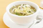 Australian Chicken Noodle Soup Recipe 26 Appetizer