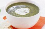 British Spinach and Coconut Soup With Naan Recipe Appetizer
