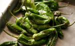 Chilean Grilled Shishito Peppers Recipe BBQ Grill