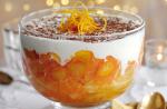 American Slimming Worlds Whisky Orange Trifle Dessert