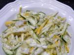 American Summer Squash Salad 3 Appetizer