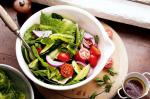 British Cos And Tomato Salad Recipe Appetizer