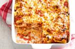 American Easy Doubledecker Cannelloni Recipe Appetizer