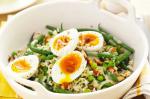 Australian Brown Rice Bean and Egg Salad Recipe Dinner