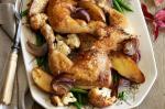 American Thyme Roasted Chicken And Cauliflower Recipe Dinner
