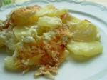 French Classic Bistro Style Gratin Dauphinoise  French Gratin Potatoes Appetizer