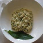 Canadian Garlic Risotto Appetizer