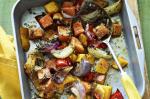 American Baked Vegetables Al Forno Recipe Appetizer