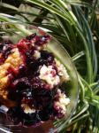 American Wild Blueberry Cobbler Dessert