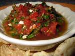 American Tays Hot and Spicy Salsa Appetizer