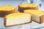 American Little Lemon Cheesecakes Recipe Dessert
