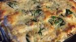 American Chicken and Spinach Alfredo Lasagna Recipe Appetizer