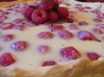 American White Chocolate Raspberry Tart Dessert