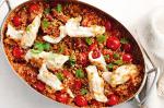 American Chorizo Squid and Quinoa Paella Recipe Appetizer