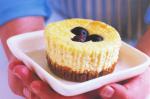 British Little Blueberry Cheesecakes Recipe Dessert