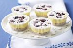 British Berry Mascarpone Mini Cheesecakes Recipe Dessert