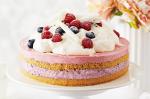 British Frozen Layered Raspberry And Blueberry Vanilla Cheesecake Recipe Dessert