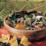 Canadian Springtime Spinach Salad 1 Appetizer