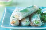American Tuna and Avocado Ricepaper Rolls Recipe Appetizer