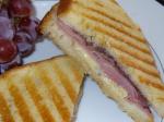 American Ham and Brie Panini sandwich Appetizer