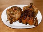 Canadian Grilled Cornish Game Hens Wginger Butter BBQ Grill