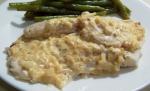 American Baked Fish in Mayonnaise and Mustard Dinner