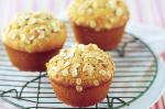 American Apple And Oat Muffins Recipe Appetizer