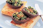 American Grilled Mushrooms On Toast With Rocket Pesto Recipe Appetizer